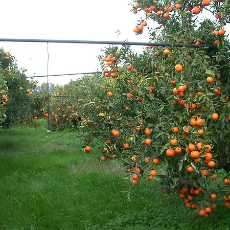 Appartamento Biomele *