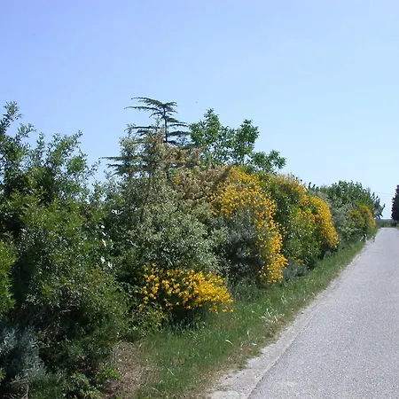 Lägenhet Casa Vacanze Agriturismo Biomele