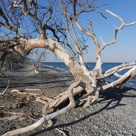 Appartamento Biomele