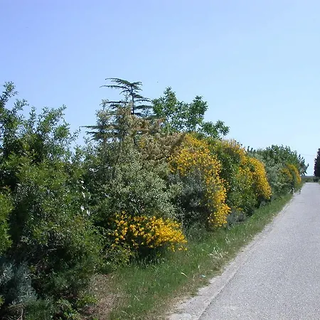 Appartamento Biomele *