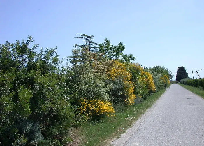 Appartamento Biomele