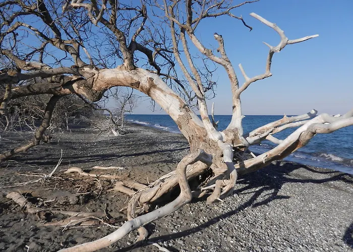 Appartamento Biomele