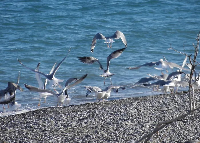 Appartamento Biomele Policoro