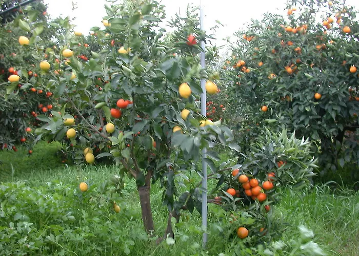 Appartamento Biomele