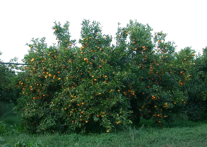 Appartamento Biomele